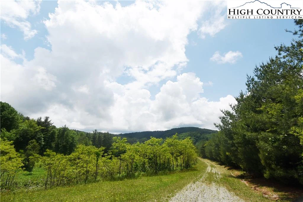 Image number 10 for the current listing