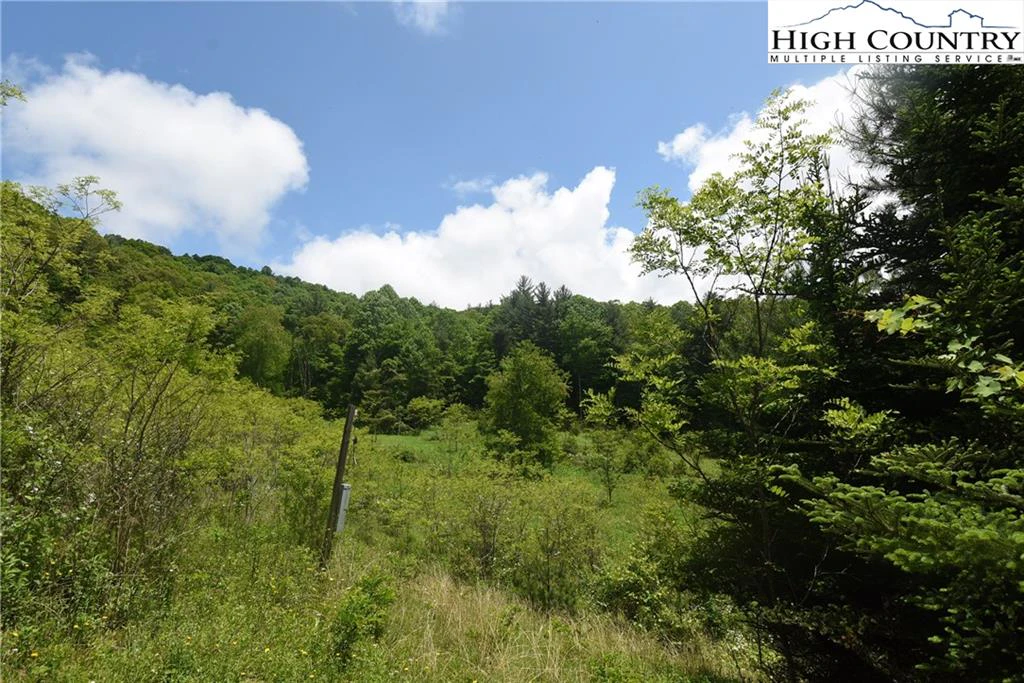 Image number 11 for the current listing