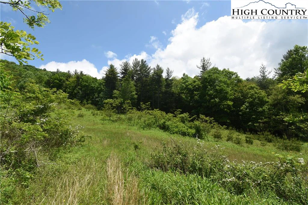 Image number 12 for the current listing