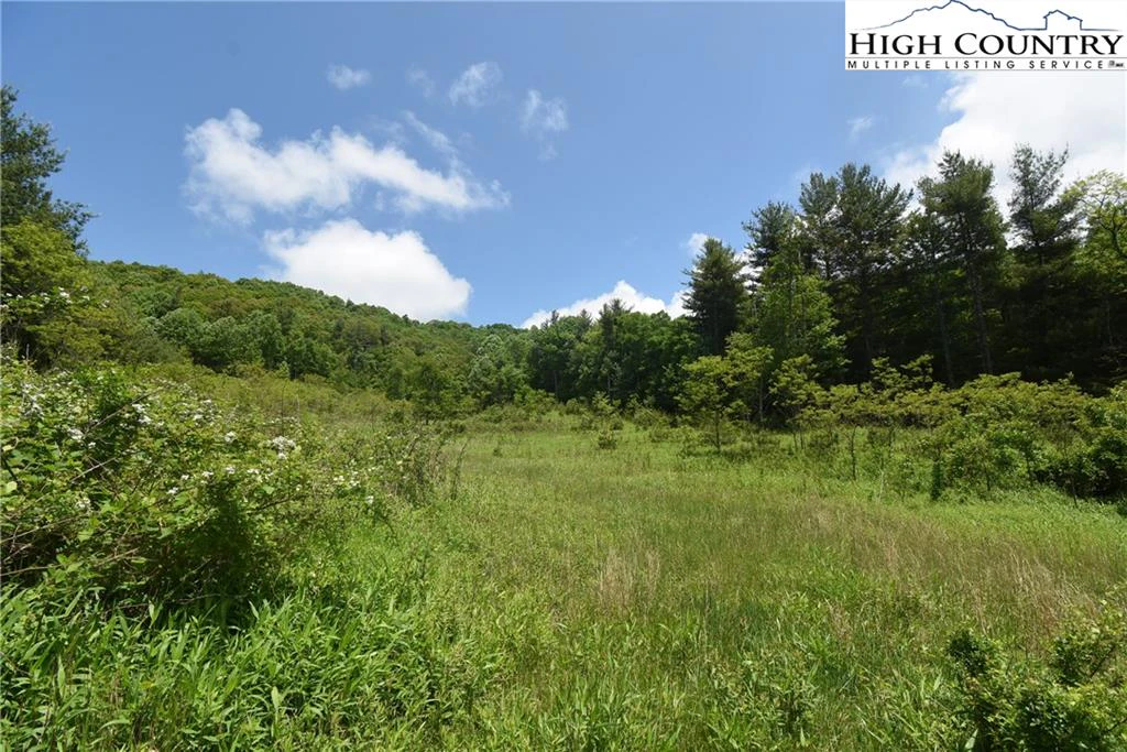 Image number 2 for the current listing