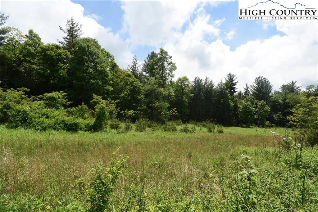 Image number 15 for the current listing