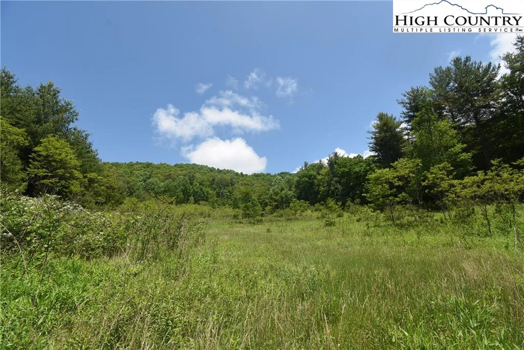 Image number 16 for the current listing