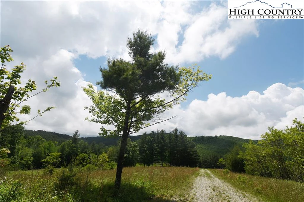 Image number 18 for the current listing