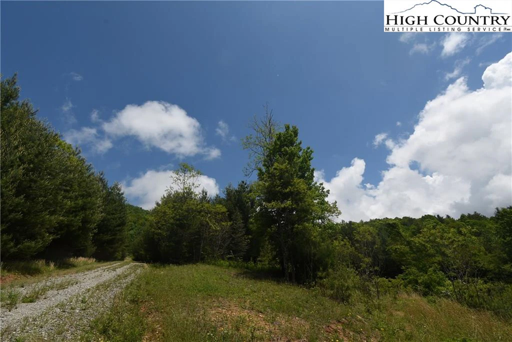 Image number 19 for the current listing