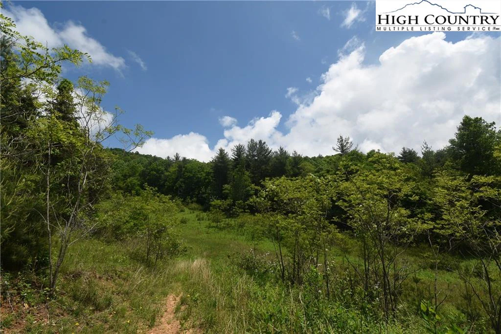 Image number 20 for the current listing