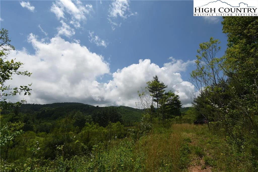 Image number 21 for the current listing