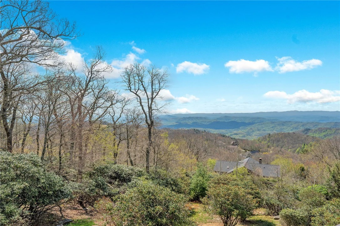 Image number 13 for the current listing