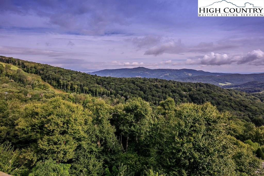 Image number 5 for the current listing