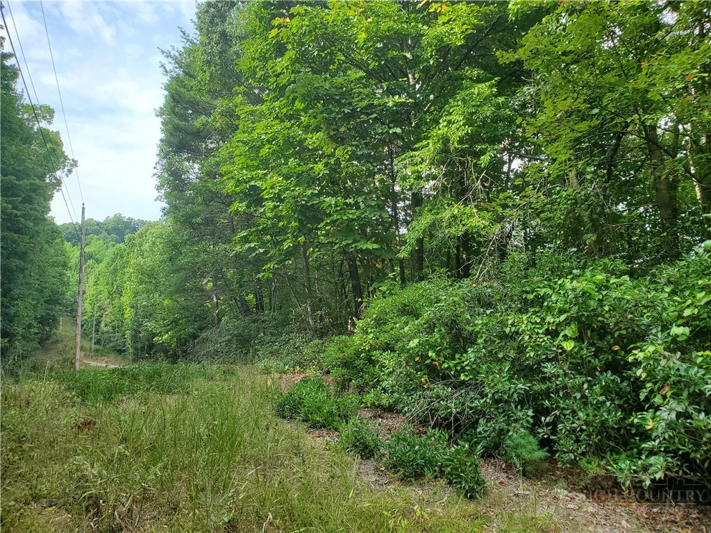 Image number 8 for the current listing