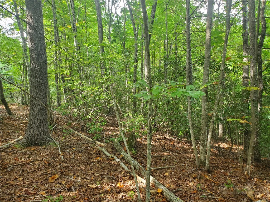 Image number 9 for the current listing