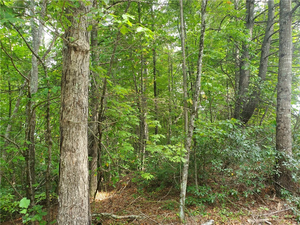 Image number 10 for the current listing
