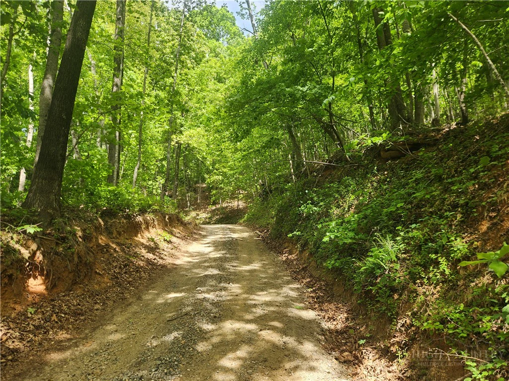 Image number 2 for the current listing