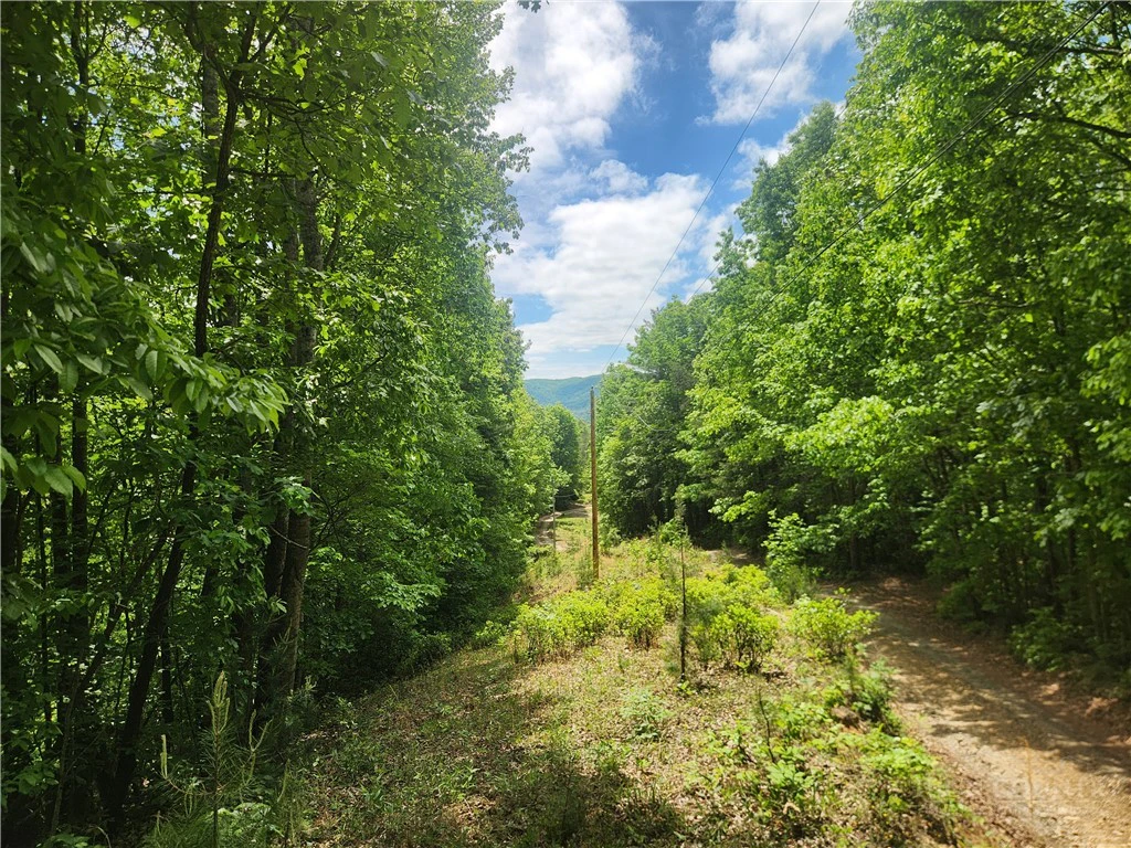 Image number 16 for the current listing