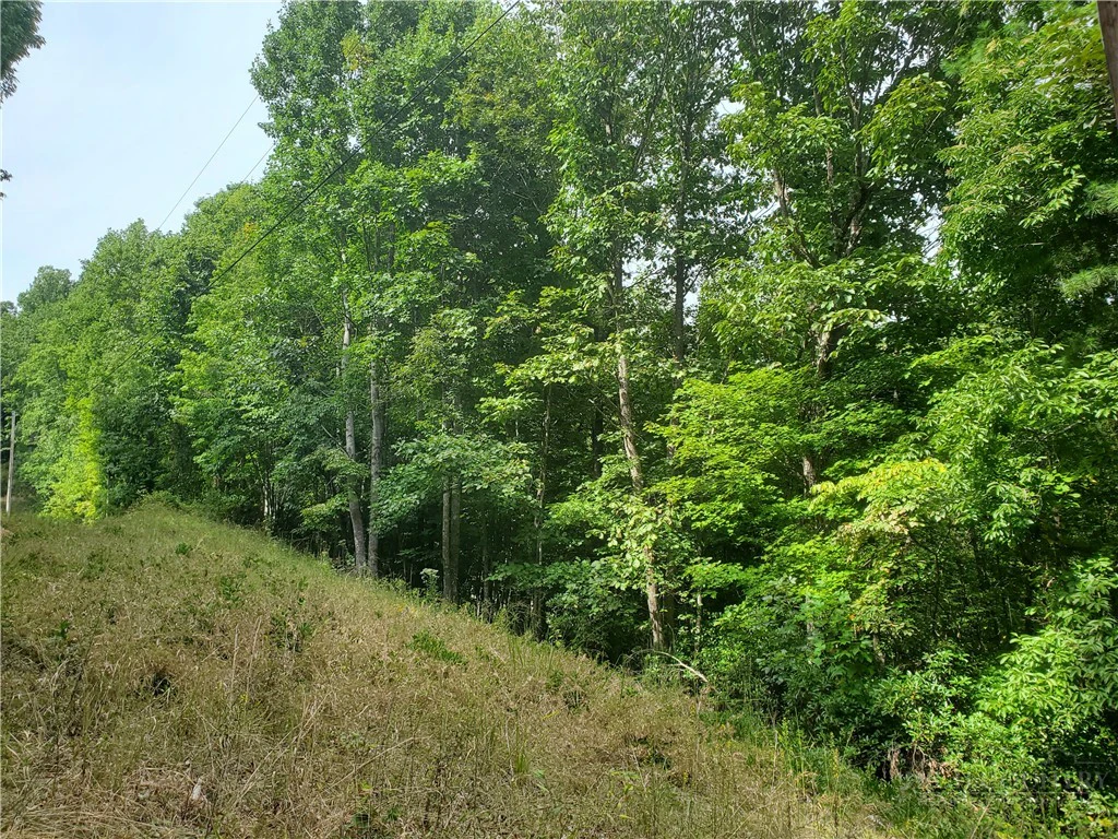 Image number 12 for the current listing