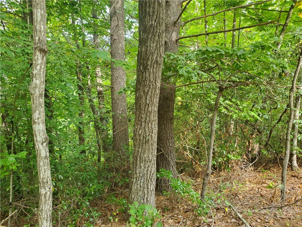 Image number 3 for the current listing