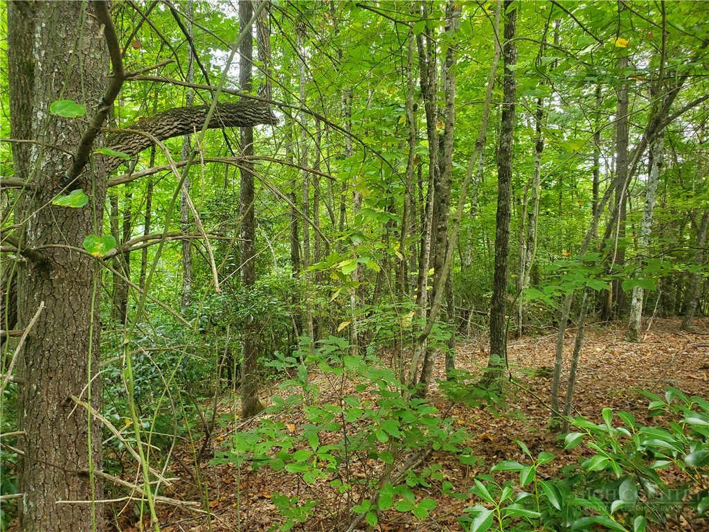 Image number 5 for the current listing