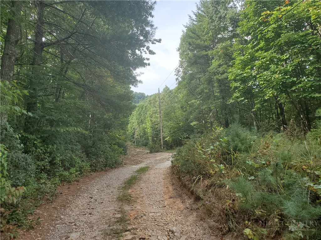 Image number 7 for the current listing
