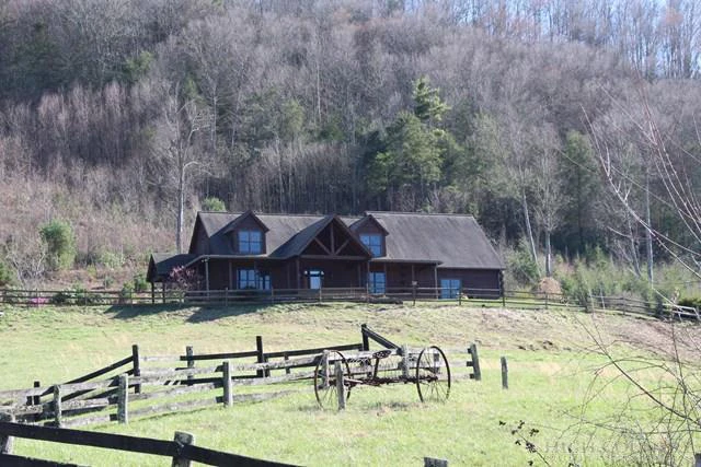 Image number 1 for the current listing