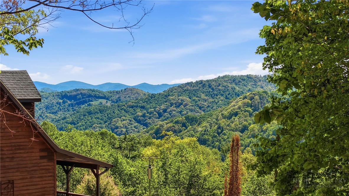 Image number 16 for the current listing