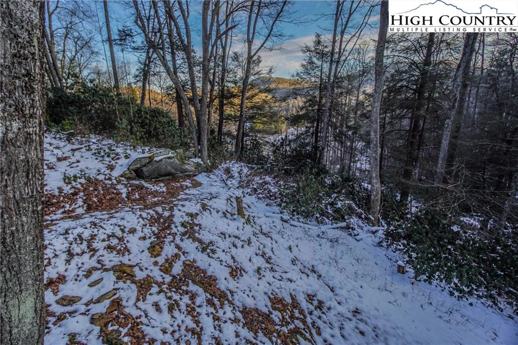 Image number 13 for the current listing