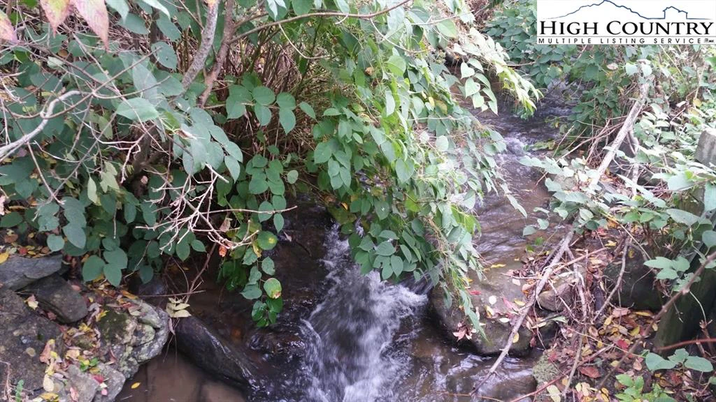 Image number 3 for the current listing