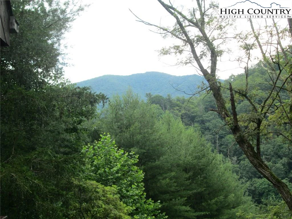 Image number 21 for the current listing