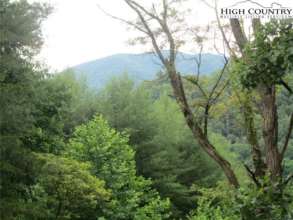 Image number 20 for the current listing