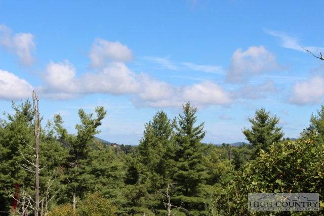 Image number 8 for the current listing