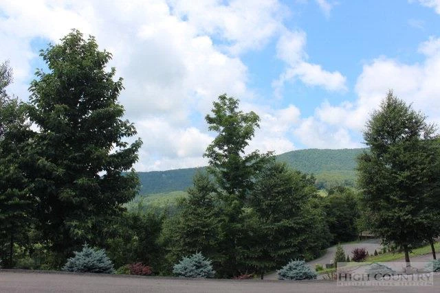 Image number 13 for the current listing