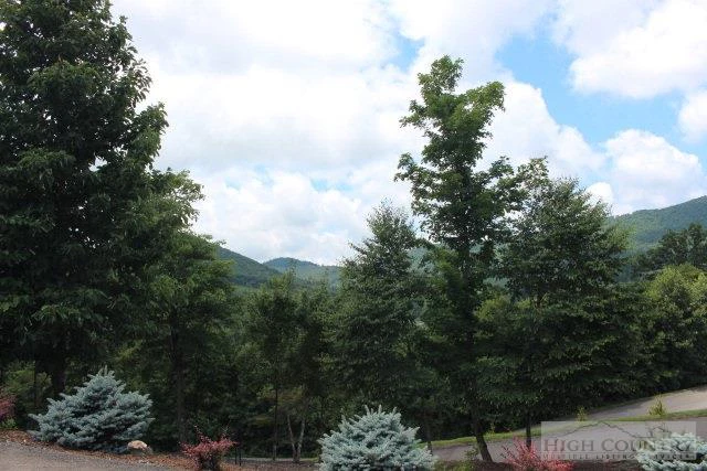 Image number 14 for the current listing