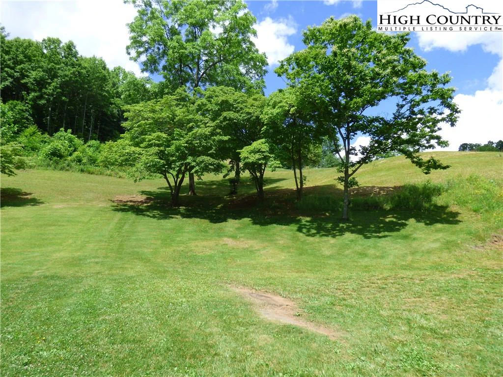 Image number 13 for the current listing