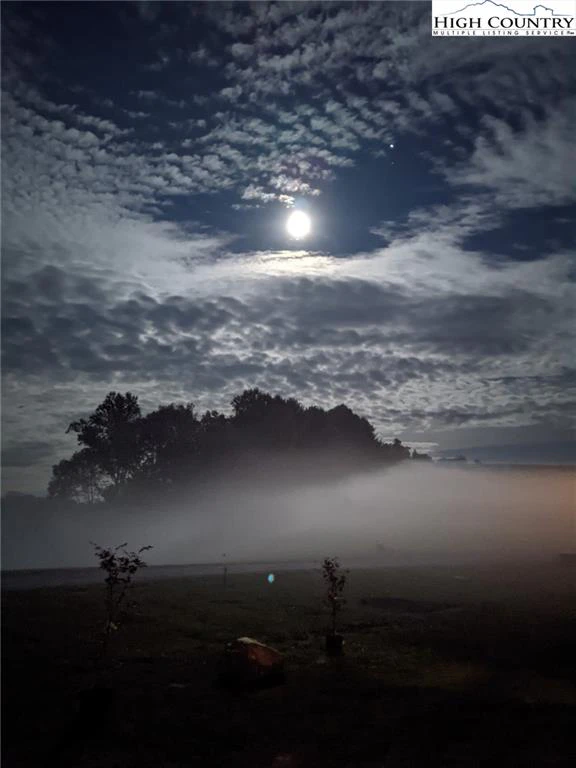 Image number 1 for the current listing