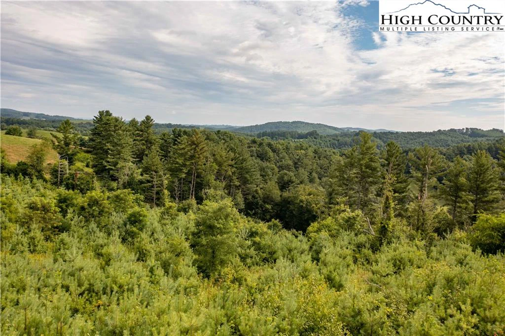 Image number 9 for the current listing
