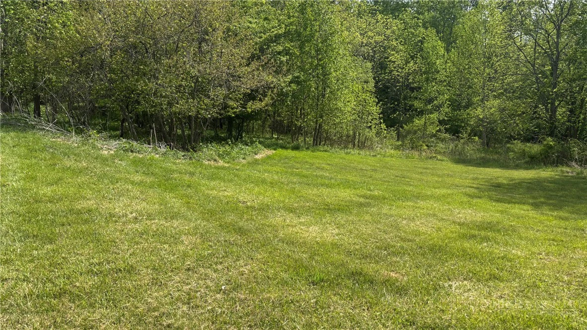 Image number 6 for the current listing