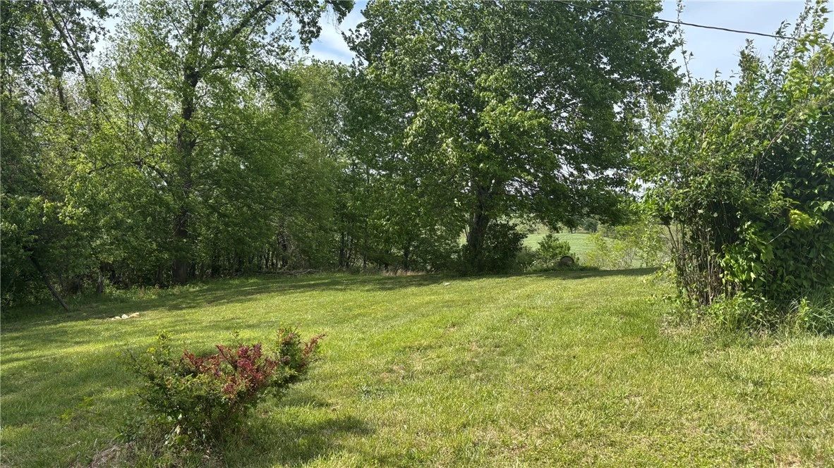 Image number 7 for the current listing