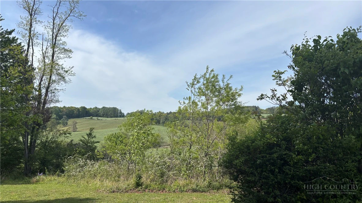 Image number 8 for the current listing