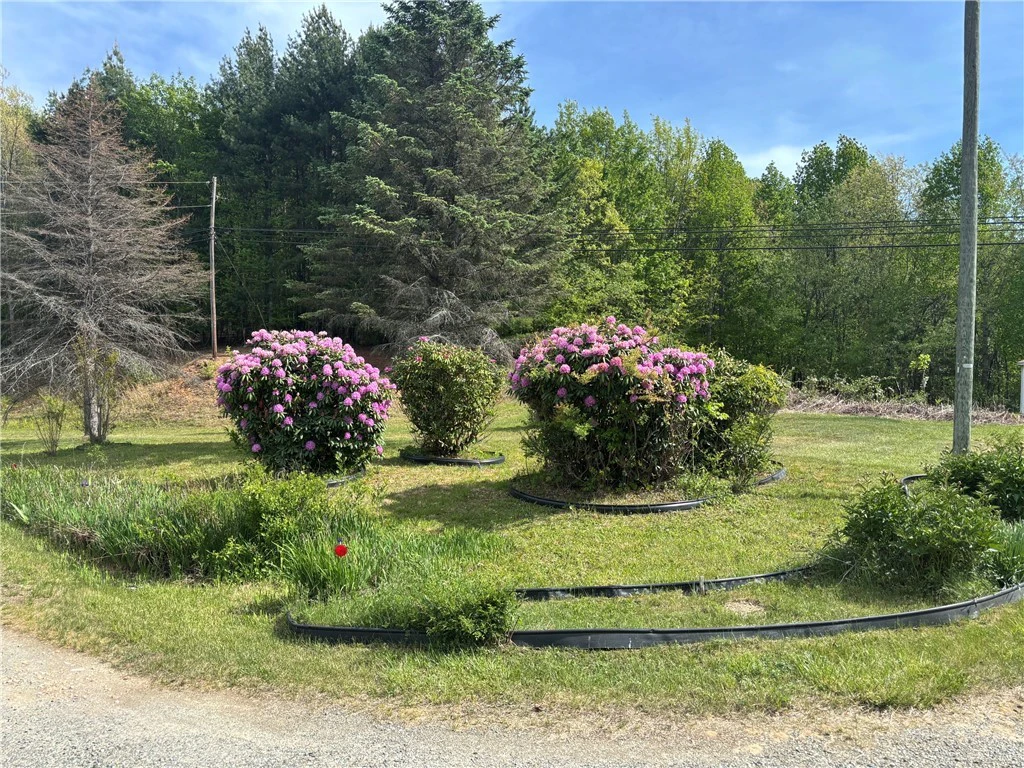 Image number 3 for the current listing