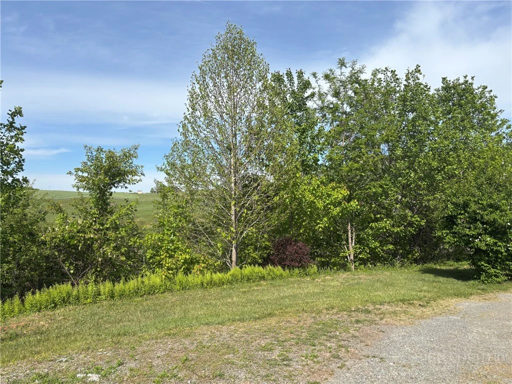 Image number 20 for the current listing