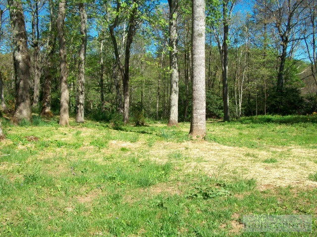 Image number 5 for the current listing