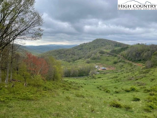 Image number 14 for the current listing