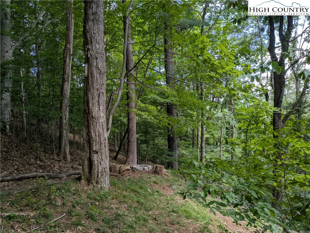 Image number 16 for the current listing