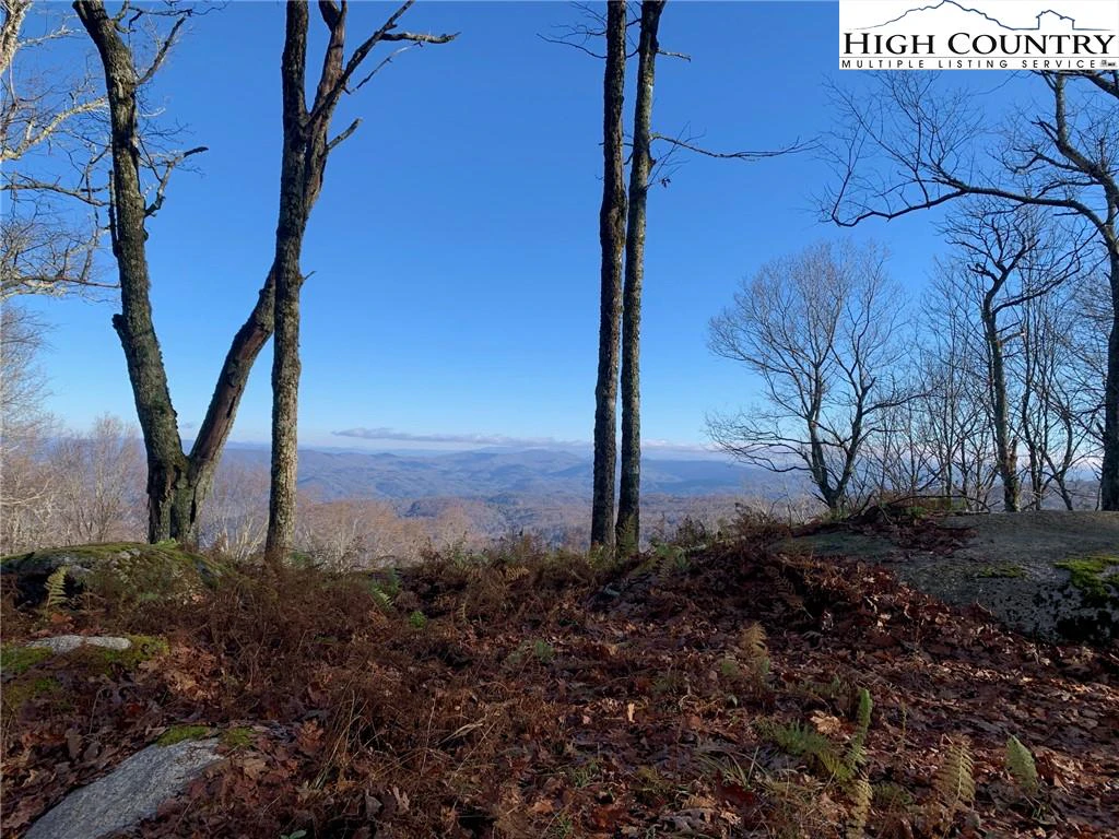 Image number 1 for the current listing