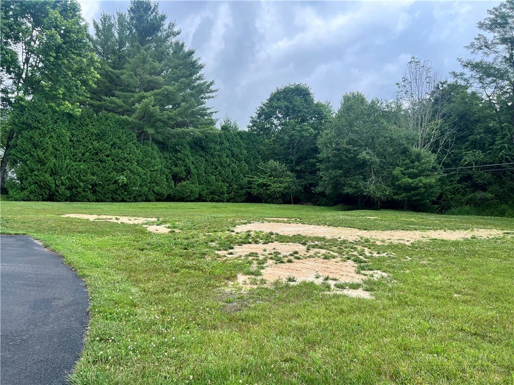 Image number 1 for the current listing