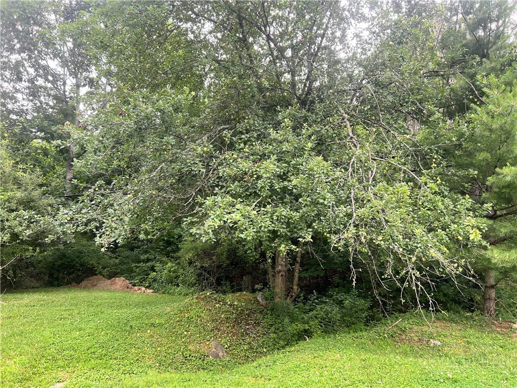 Image number 4 for the current listing