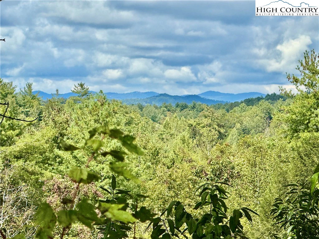 Image number 1 for the current listing