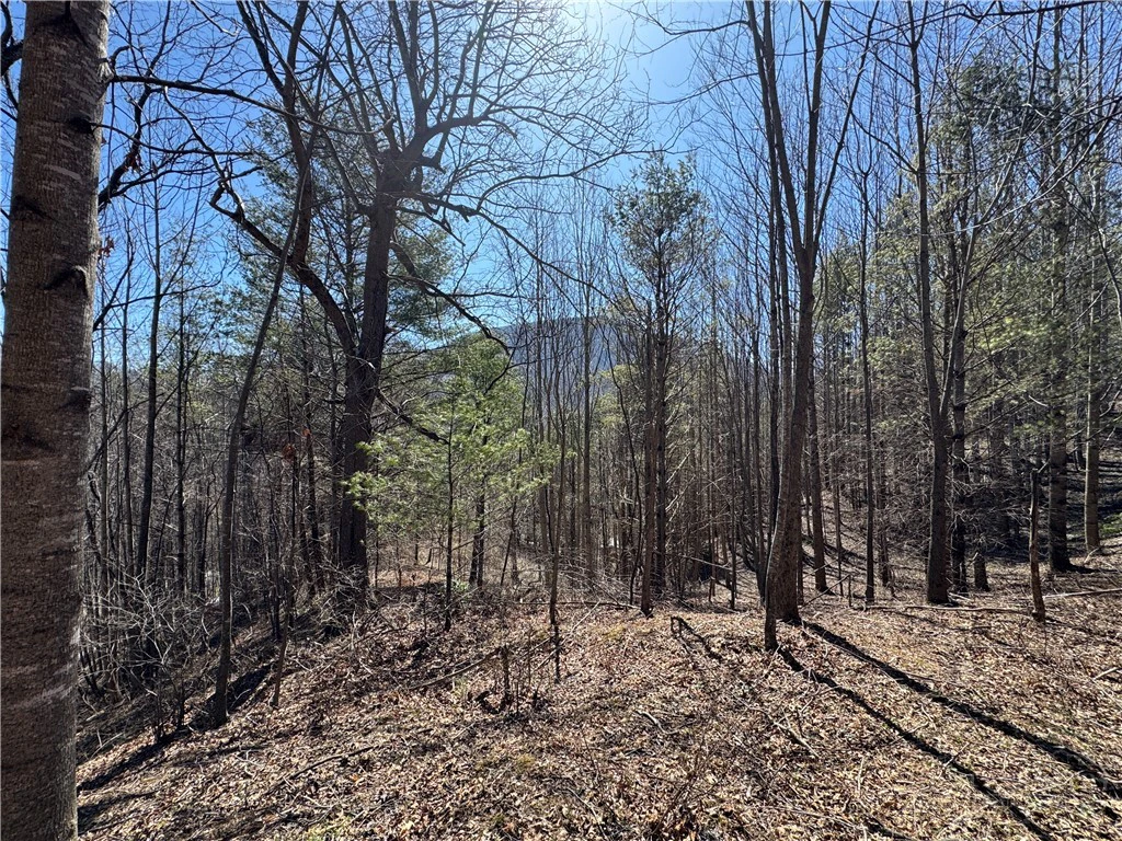 Image number 19 for the current listing