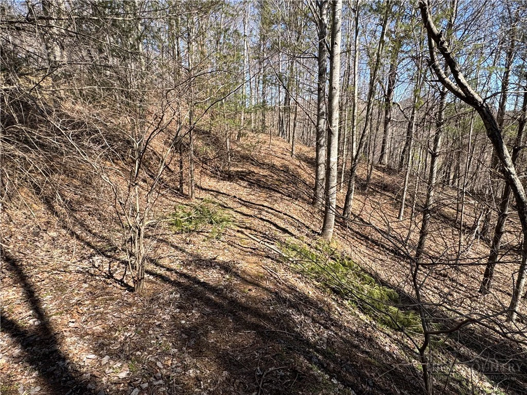 Image number 2 for the current listing