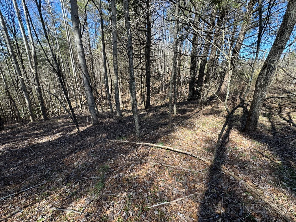 Image number 7 for the current listing