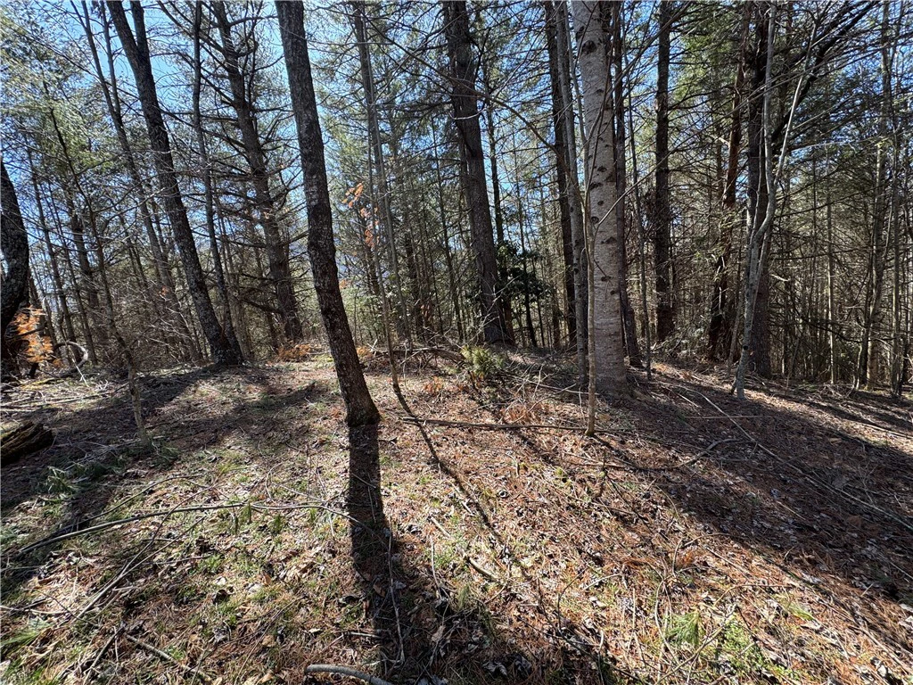 Image number 6 for the current listing