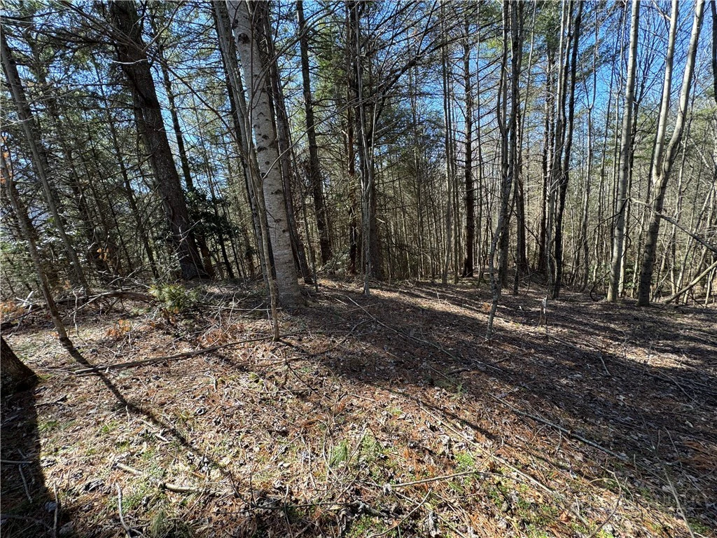 Image number 5 for the current listing